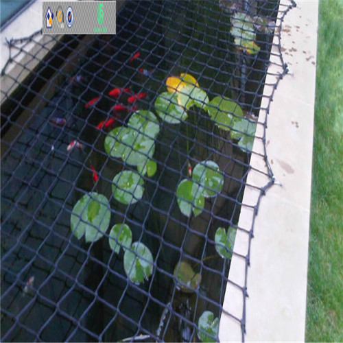 2019 NOVO material HDPE monofilamento POND NETTING