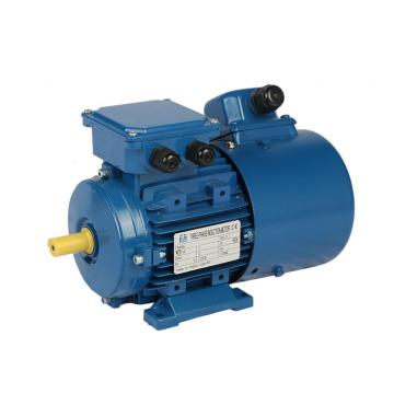 MS series three phase aluminum motor