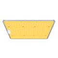 /msite/products/detail/productid/57598382/id/542345.html