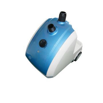 garment steamer  double safety system,samples available
