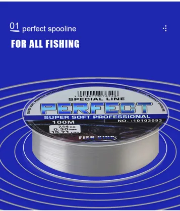 FISH KING 100M Monofilament Nylon Fishing Line - Floating to Sinking, Strong Carp Fishing Tippet