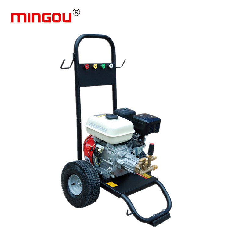 220V High pressure Washer Pump