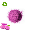 Bio Pure Ube Purple Yam 99% Extraktpulver
