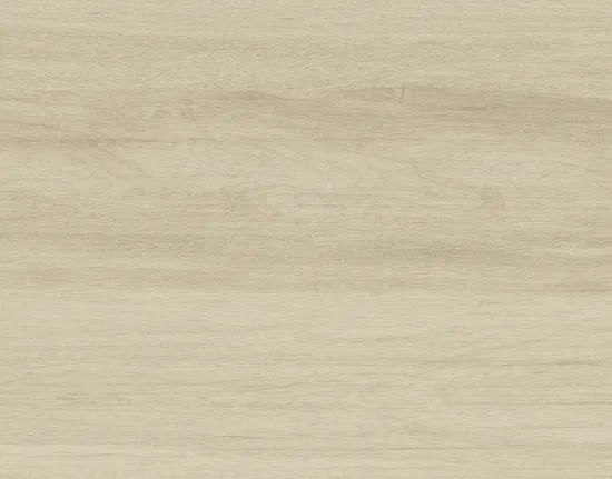 CAD912 Wood look ceramics floor tiles