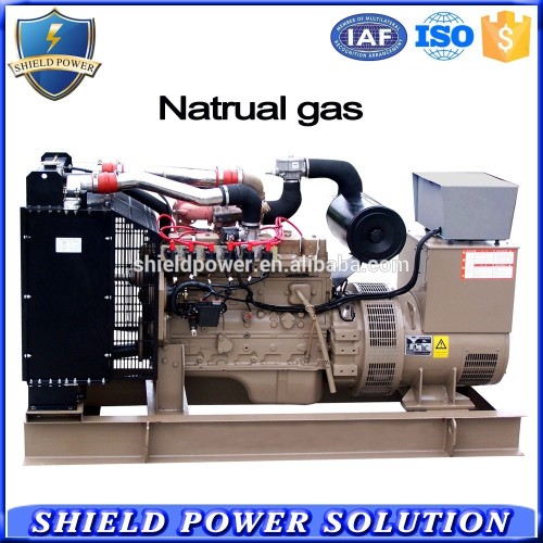 Factory 100KV CNG Powered Gas Generator, Natural Gas Generator Set