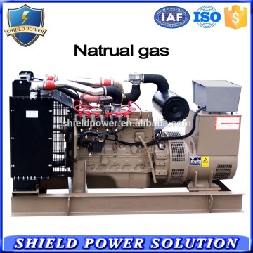 Generator Natural Gas, Natural Gas Generator Set, BioGas Generator