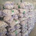 2021 New Crop Normal White Garlic