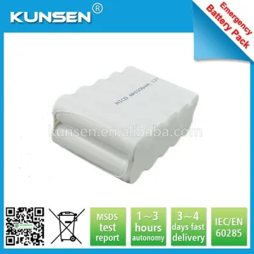 Hot selling High quality ni-cd 12V AA1000mah battery pack