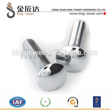 shining truss head advertising screw