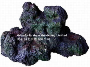 marine coral rock