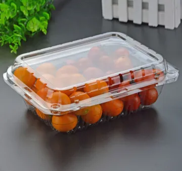 TRANSPARENT Thermoforming Pet Sheet Roll for Thermoforming