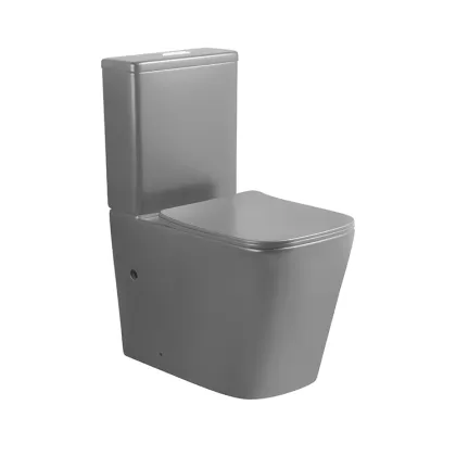 Matt Grey Luxury Design P-Trap & S-Trap Two-Piece Toilet