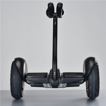 350W X2 Motor Electric Two Wheels Electric Scooter