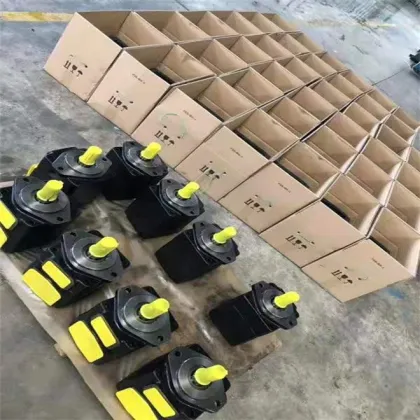 Parker Denison T6 T6C T6CC Vane Pump Hydraulic Pump For Marine-Machinery T6DC Vane Double Pump