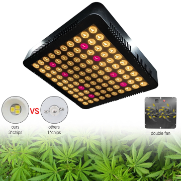 AmazonTop ha portato la luce per la coltivazione di Veg and Bloom