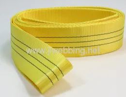 Polyester Flat Endless Webbing Sling 