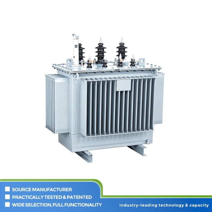 وحدة المحولات المغمورة بالزيت Dyn11 10kV