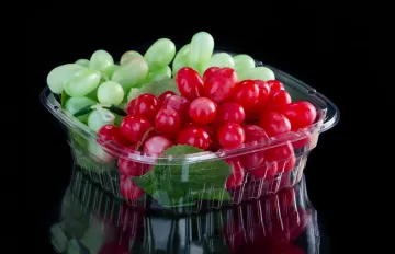 Disposable Blueberry Tub for USA