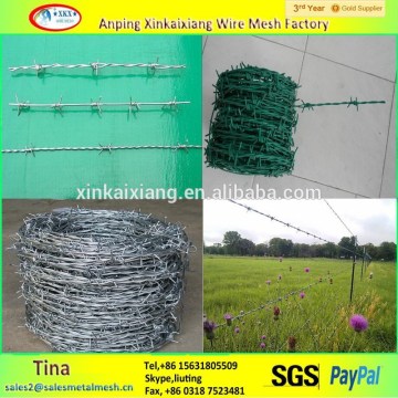 Factory produce 3mm 12*14mm ms eiectro and hot-dipped galvanized barbed wire
