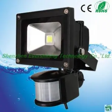 12 Volt Outdoor 10W LED Motion Sensor Light