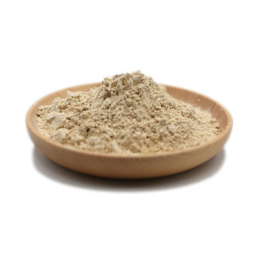有機米タンパク質分離粉末