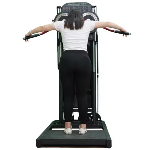 Plate Loaded Lateral Raise