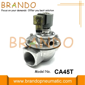 CA45T Goyen Type Pulse Jet Valve 24VDC 220VAC