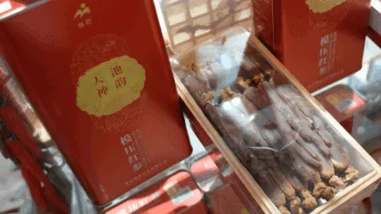 Elite Molded Ginseng Select