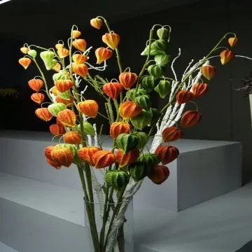 Cope Gooseberry PU Flower, Soft, Elastic and Anti-pollution