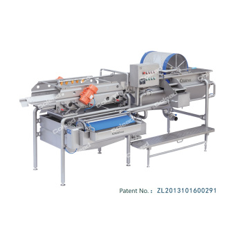 Spiral Vegetable Washing Machine for food industry
