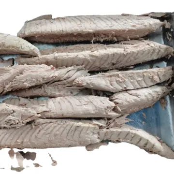 Frozen precooked skipjack tuna Katsuwonus Pelamis  loin