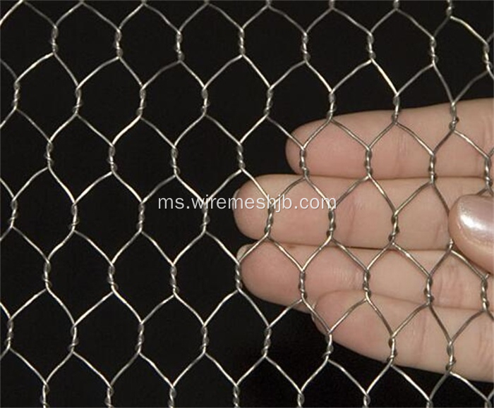 1 &#39;&#39; Hot-dip Galvanized Hexagonal Wire Nettings