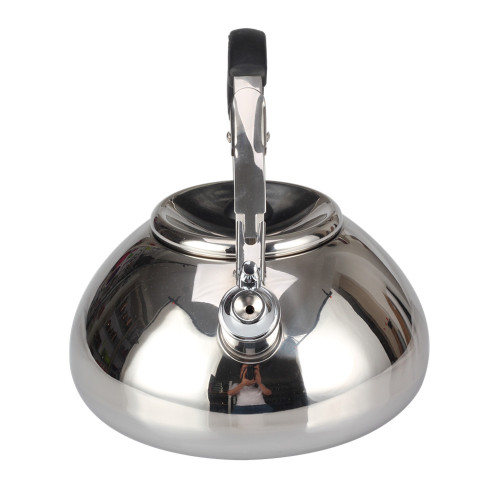 Stainless Steel Silver Mirror Polishing Tea Pot