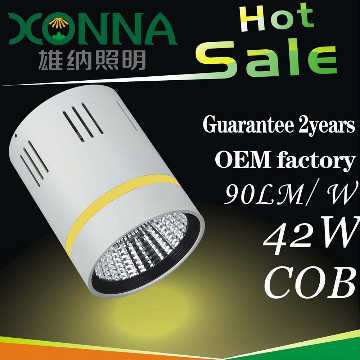 42W surface moubted led down light , XN-TD1342