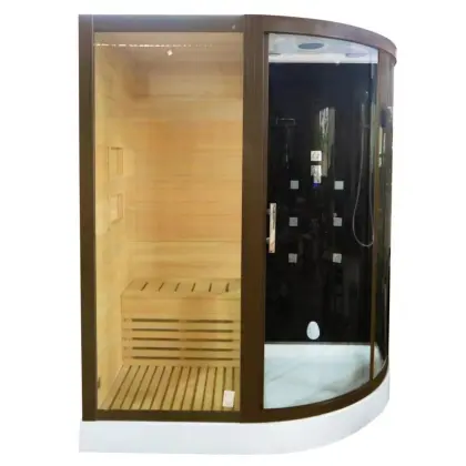 Shower room steam sauna shower combination