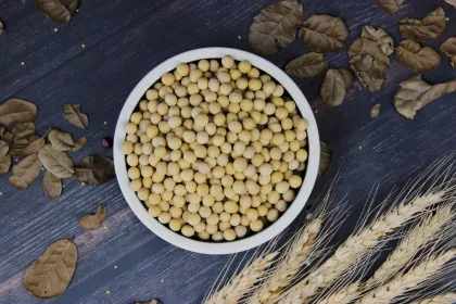 Soy Foods Products
