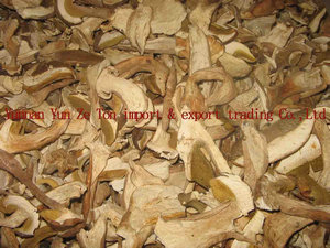 dried mushroom