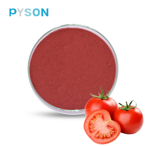 supply 100% natural Lycopene powder Tomato extract