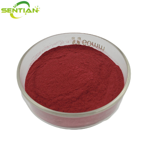 High-Quality Goji Berry Extract