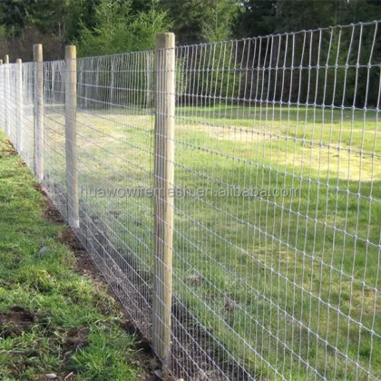 Hot Sale Sheep and Deer Fence / Farm Fence