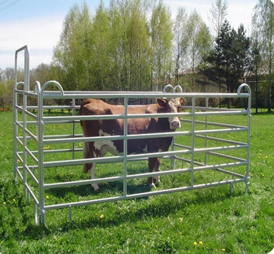 Horse Fencing For Sale