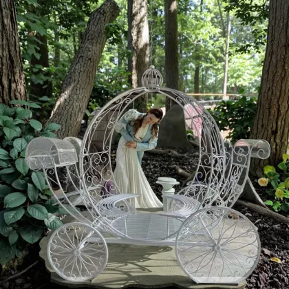 Royal Pumpkin Themed Customizable Large White Cinderella Carriage Horse Cart for Weddings and Parties