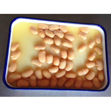 A10 high quality brined canned Lima beans butter beans