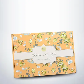 3-ply Waterproof Colorful Shipping Box