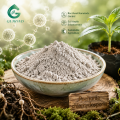 Pochonia Chlamydosporia مسحوق فطريات التحكم البيولوجي
