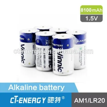 Vinnic alkaline zn-mn battery AM1 LR20 1.5V