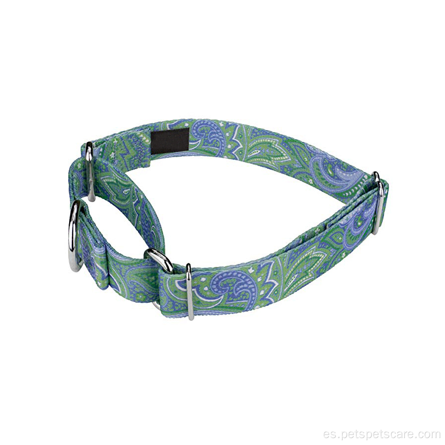 Impresión de sublimación más vendida Martingale Dog Collar