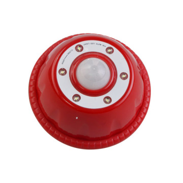 Indoor LED Motion Sensor Light