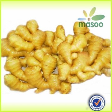 2014 price of fresh ginger