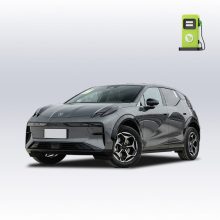 2025 Five-seater long-range version of grey